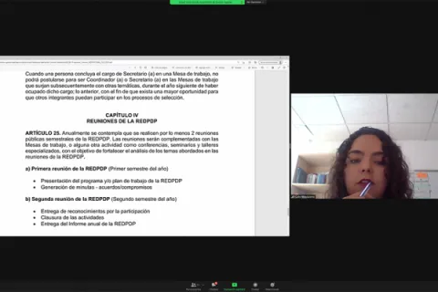 Captura de pantalla de la sesión virtual