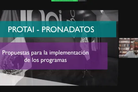 Captura de pantalla de la sesión virtual