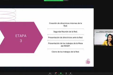 Captura de pantalla de la sesión virtual