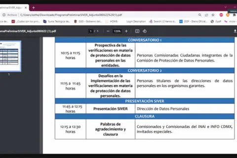 Captura de pantalla de la sesión virtual