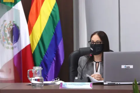 Captura de pantalla de la sesión virtual
