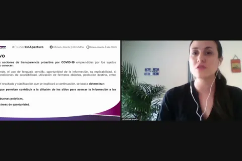 Captura de pantalla de la sesión virtual