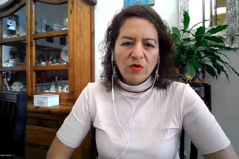 Captura de pantalla de la sesión virtual