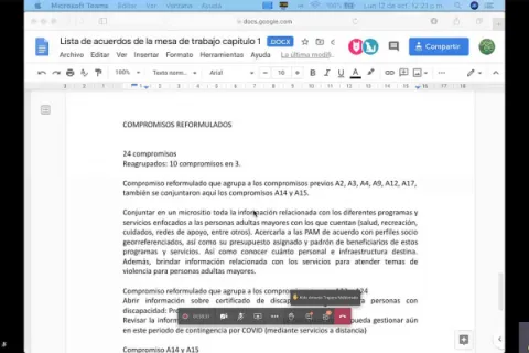 Captura de pantalla de la sesión virtual