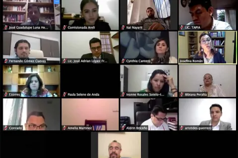 Captura de pantalla de la sesión virtual
