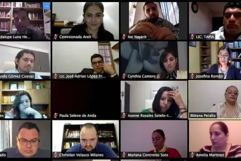 Captura de pantalla de la sesión virtual