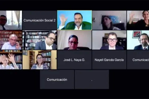 Captura de pantalla de la sesión virtual