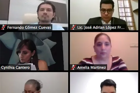 Captura de pantalla de la sesión virtual