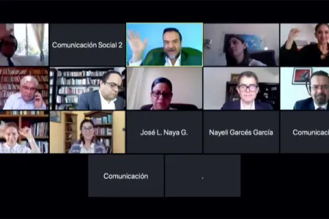 Captura de pantalla de la sesión virtual