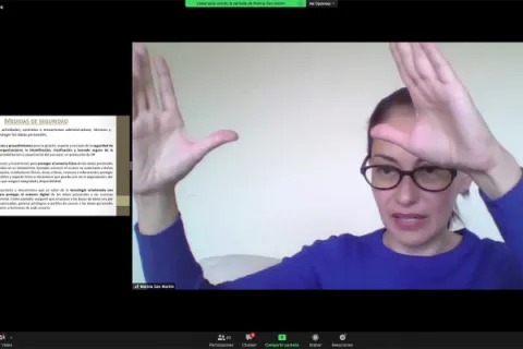 Captura de pantalla de la sesión virtual