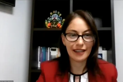 Captura de pantalla de la sesión virtual