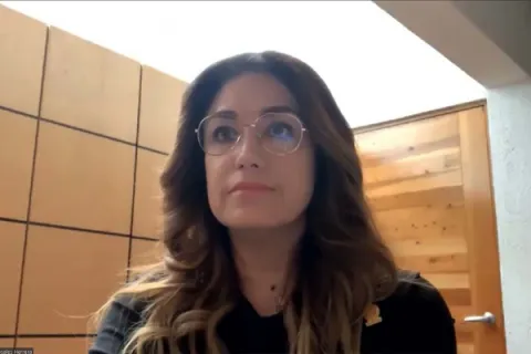 Captura de pantalla de la sesión virtual