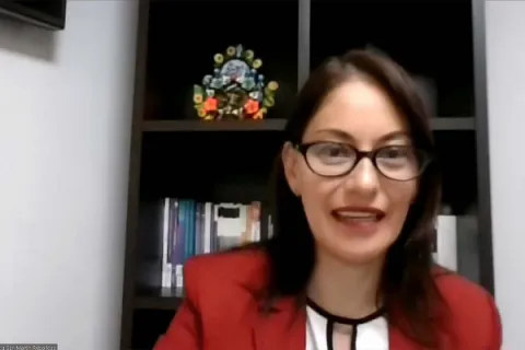 Captura de pantalla de la sesión virtual