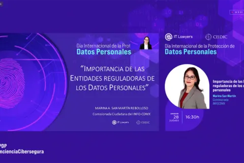 Captura de pantalla de la sesión virtual