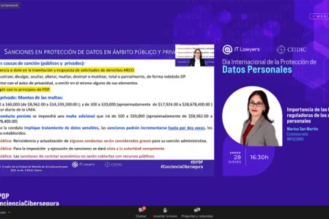 Captura de pantalla de la sesión virtual