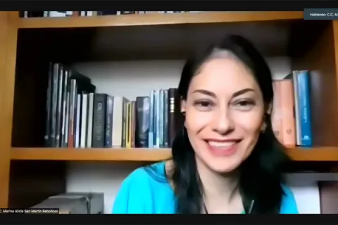 Captura de pantalla de la sesión virtual