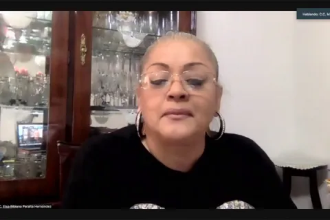 Captura de pantalla de la sesión virtual