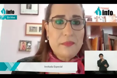 Captura de pantalla de la sesión virtual