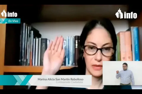 Captura de pantalla de la sesión virtual