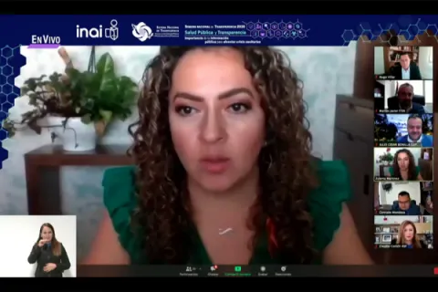 Captura de pantalla de la sesión virtual