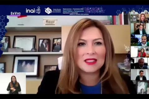 Captura de pantalla de la sesión virtual