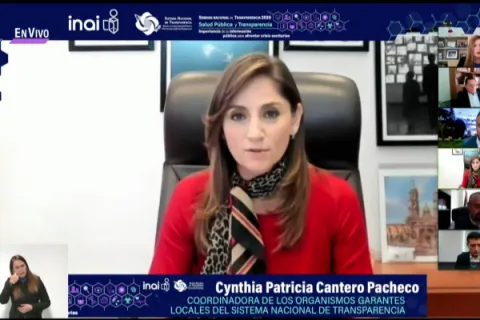 Captura de pantalla de la sesión virtual