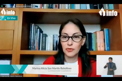 Captura de pantalla de la sesión virtual