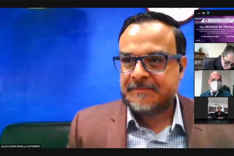 Captura de pantalla de la sesión virtual