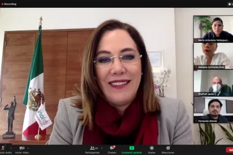 Captura de pantalla de la sesión virtual