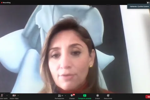 Captura de pantalla de la sesión virtual
