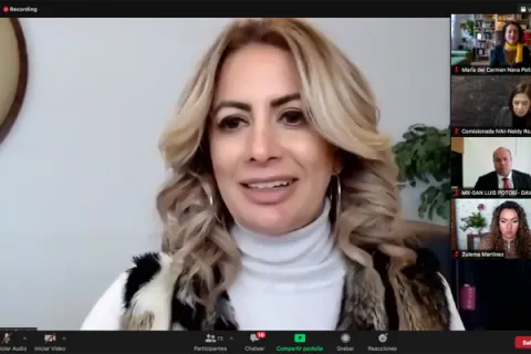 Captura de pantalla de la sesión virtual