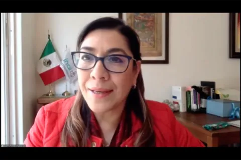 Captura de pantalla de la sesión virtual