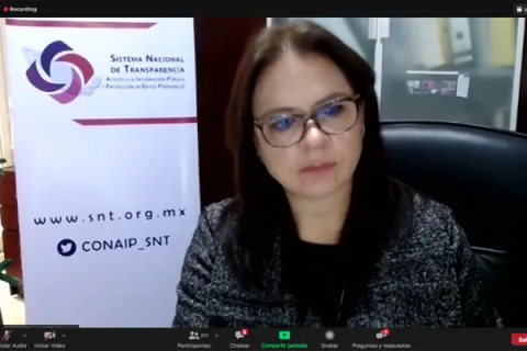 Captura de pantalla de la sesión virtual