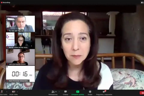Captura de pantalla de la sesión virtual