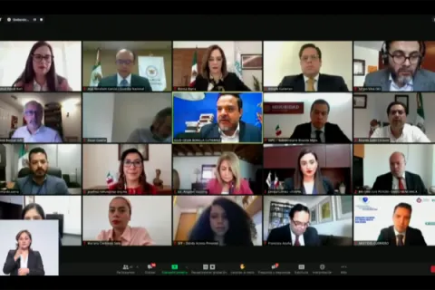 Captura de pantalla de la sesión virtual