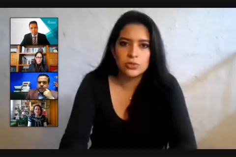 Captura de pantalla de la sesión virtual