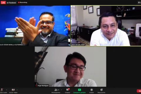 Captura de pantalla de la sesión virtual