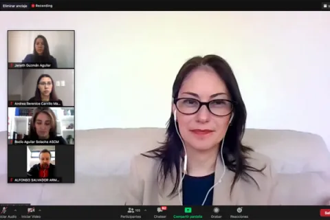 Captura de pantalla de la sesión virtual