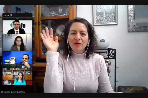 Captura de pantalla de la sesión virtual