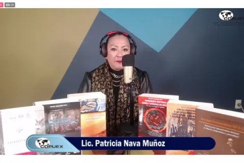 Captura de pantalla de la sesión virtual