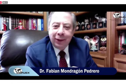 Captura de pantalla de la sesión virtual