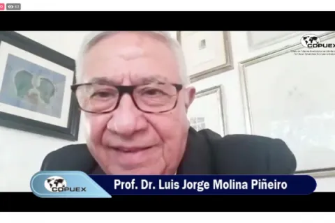 Captura de pantalla de la sesión virtual