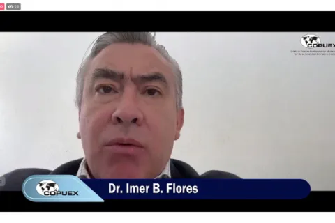 Captura de pantalla de la sesión virtual