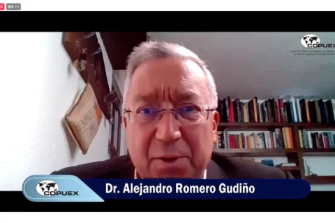 Captura de pantalla de la sesión virtual