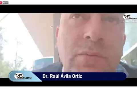 Captura de pantalla de la sesión virtual