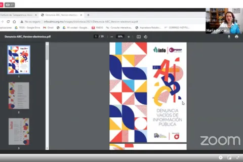 Captura de pantalla de la sesión virtual