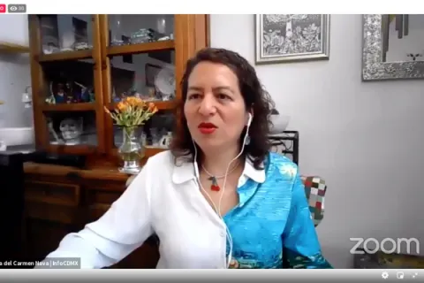 Captura de pantalla de la sesión virtual
