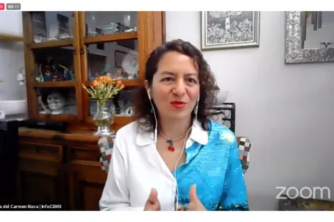 Captura de pantalla de la sesión virtual