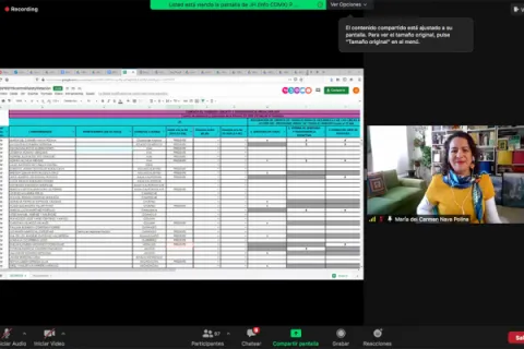 Captura de pantalla de la sesión virtual