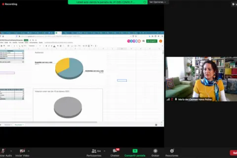 Captura de pantalla de la sesión virtual